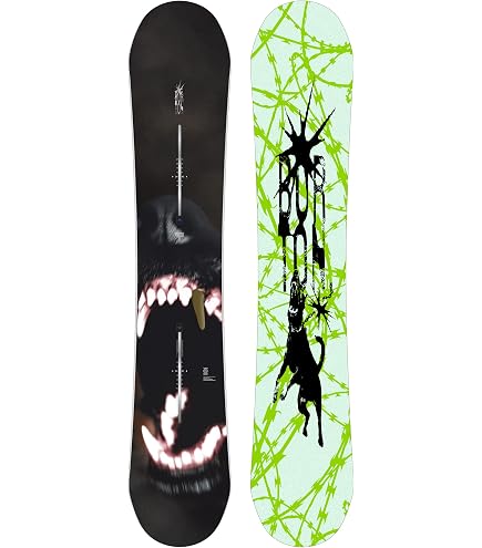 Amazon.com: Nidecker Micron Magic Kid's All-Mountain Snowboard